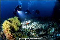 In the twilight. Raja Ampat. by Sergiy Glushchenko 